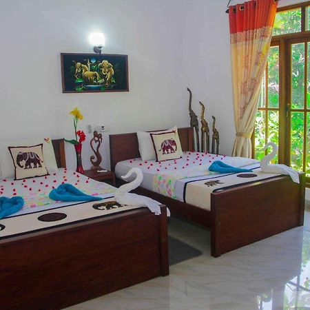 Hotel Hungry Lion Sigiriya Exterior foto