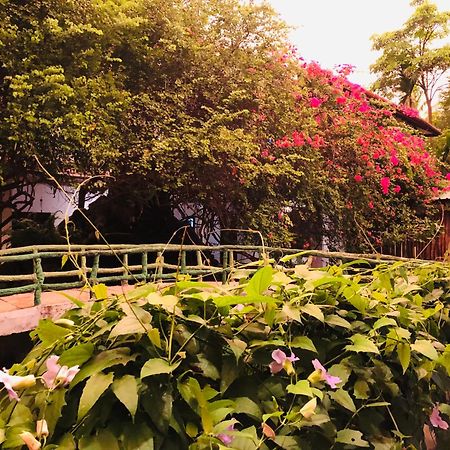 Hotel Hungry Lion Sigiriya Exterior foto