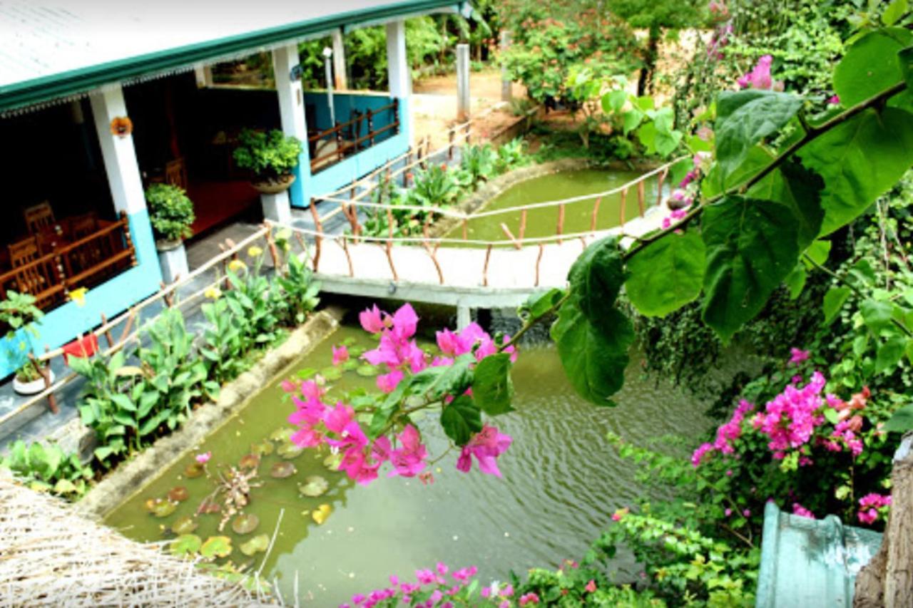 Hotel Hungry Lion Sigiriya Exterior foto