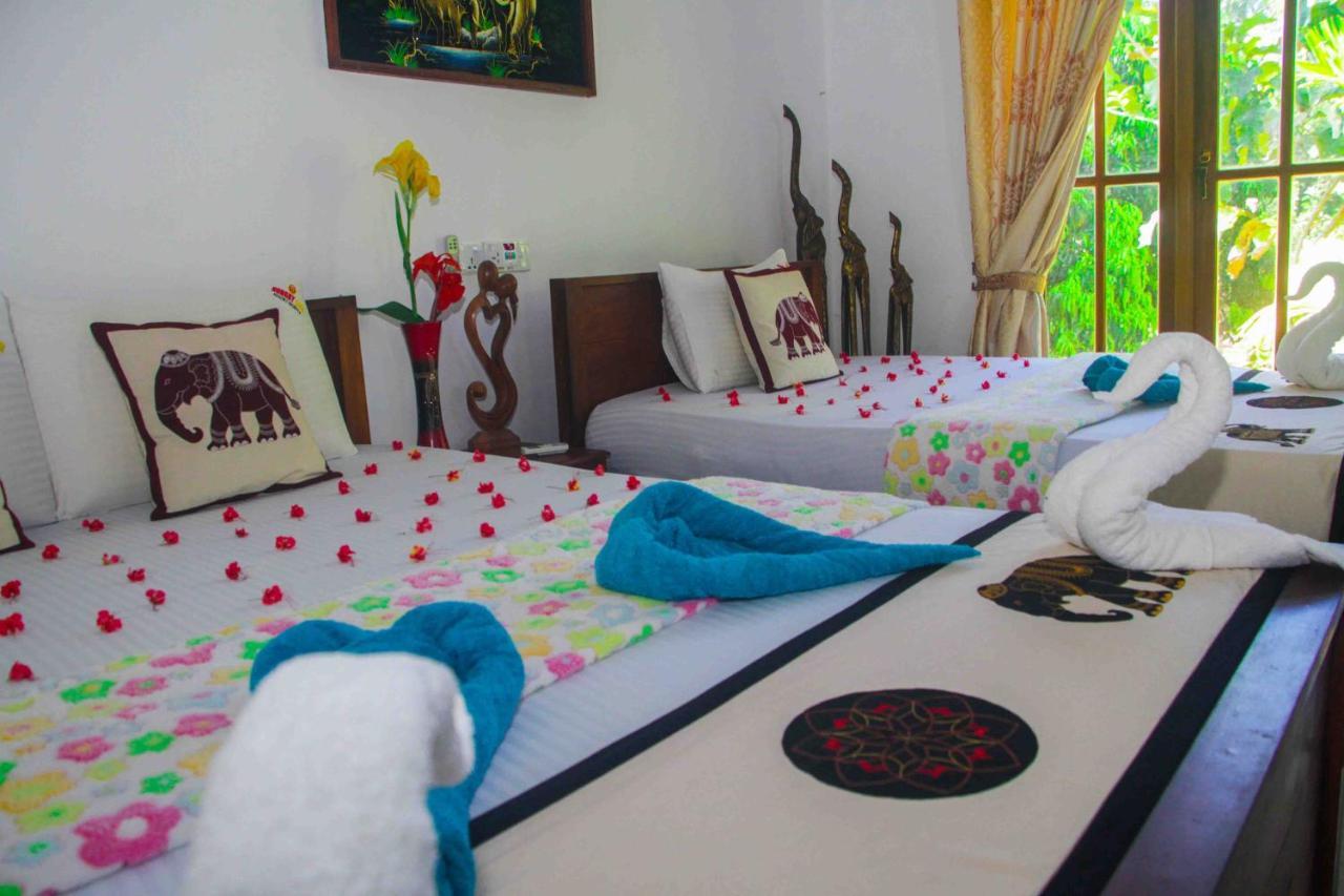 Hotel Hungry Lion Sigiriya Exterior foto