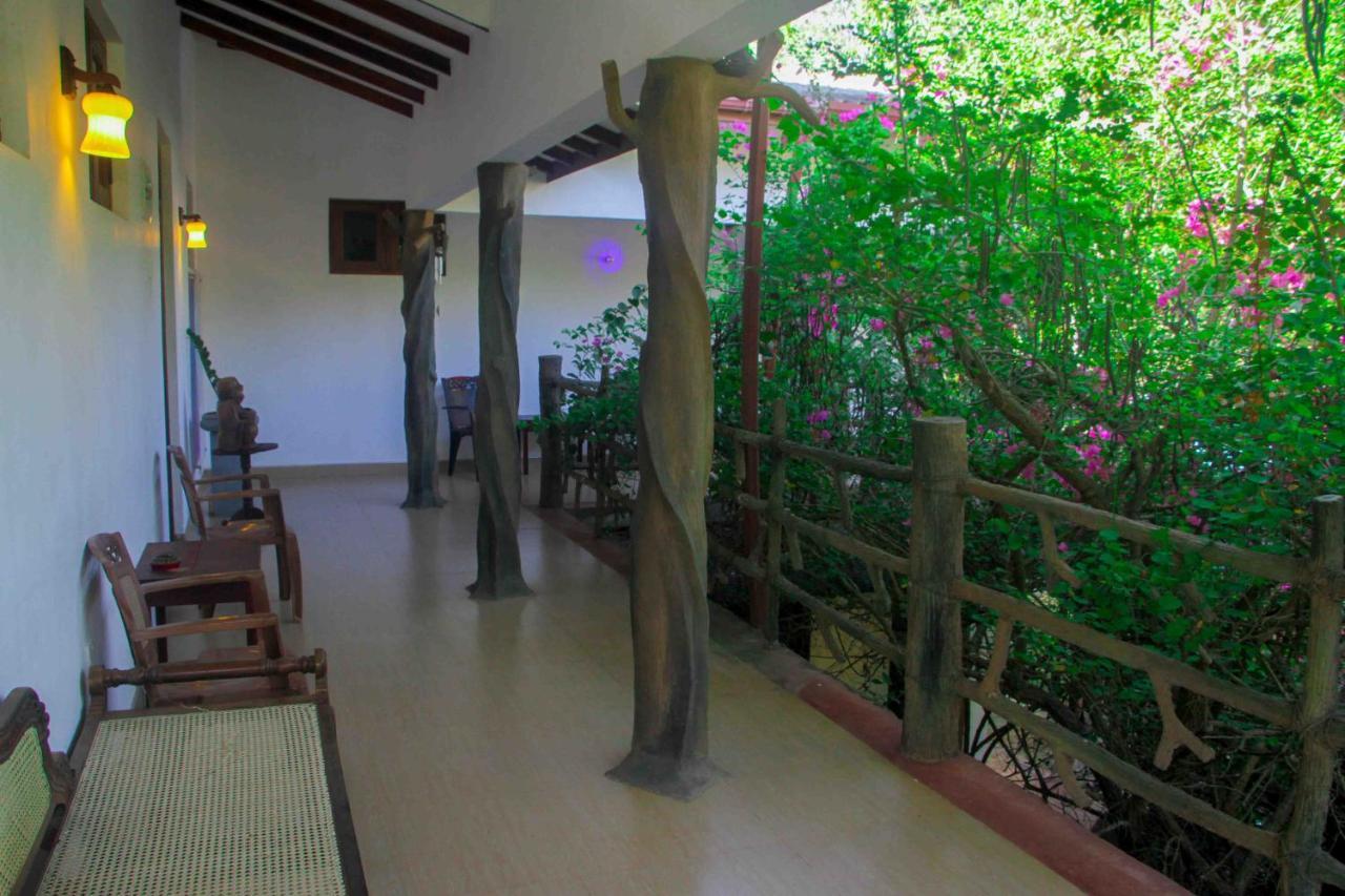 Hotel Hungry Lion Sigiriya Exterior foto