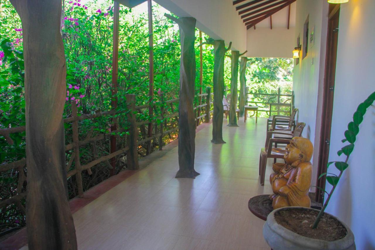 Hotel Hungry Lion Sigiriya Exterior foto