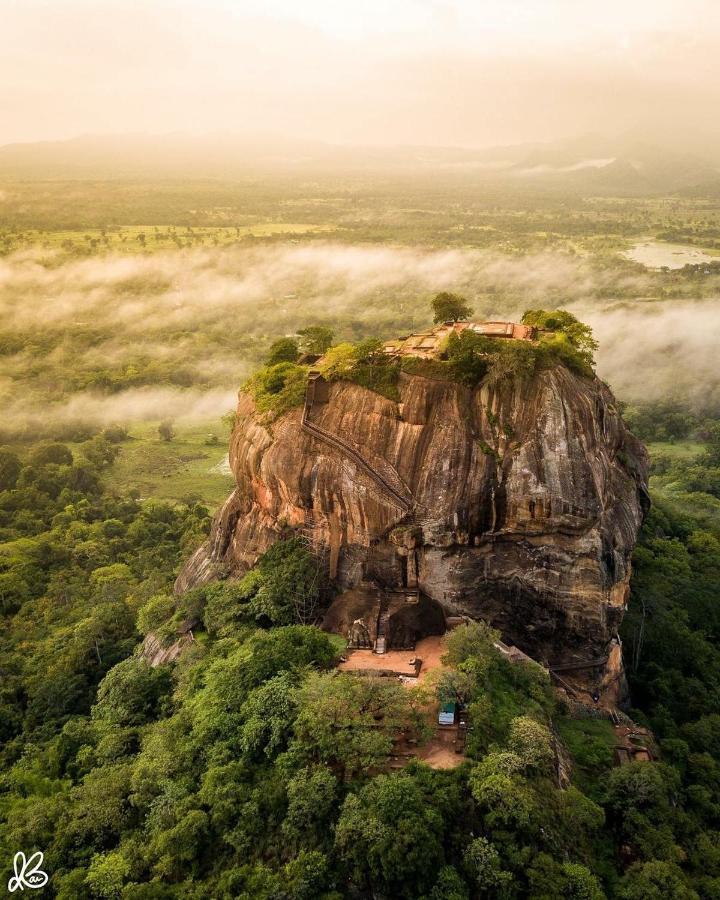 Hotel Hungry Lion Sigiriya Exterior foto
