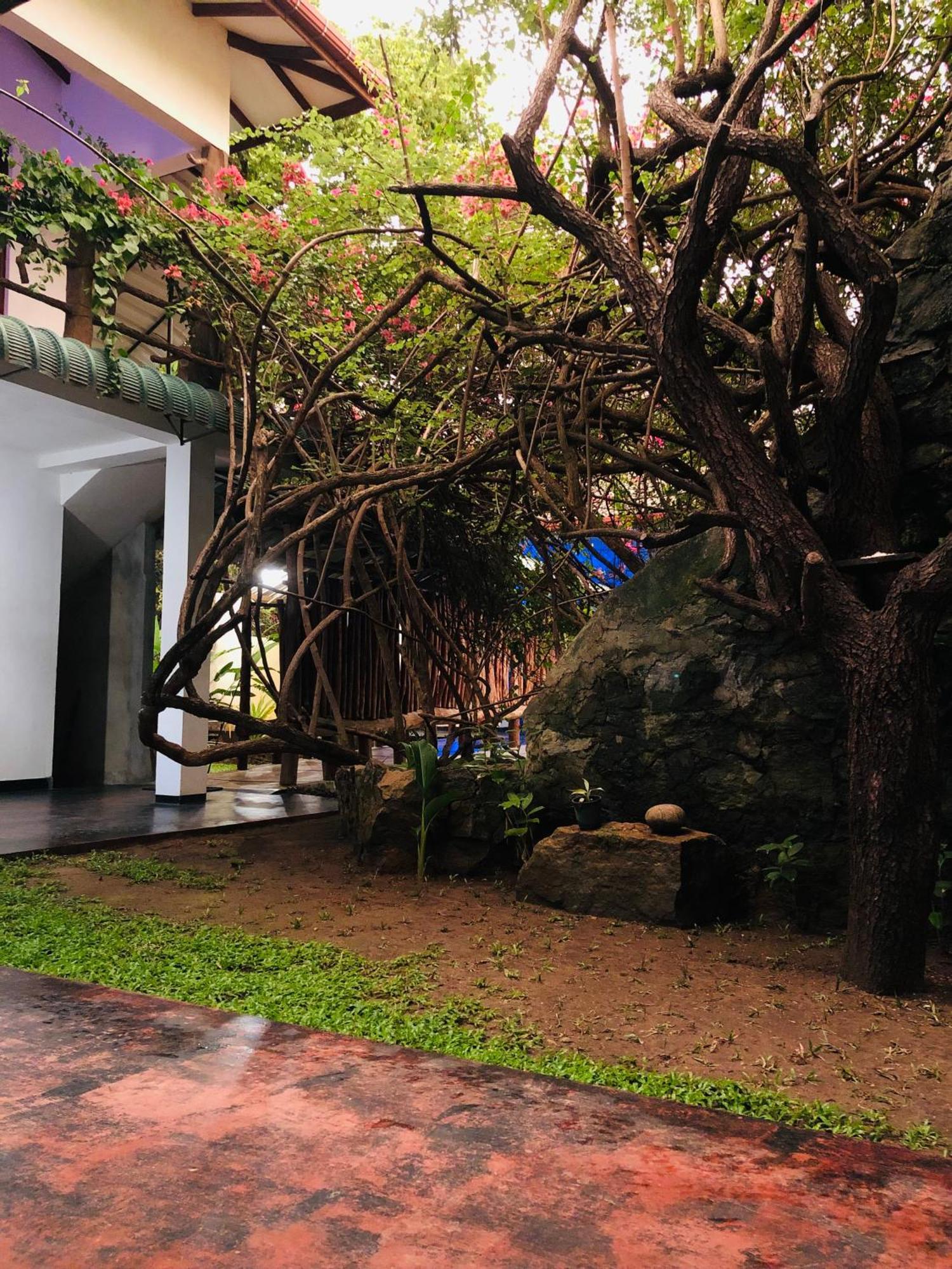 Hotel Hungry Lion Sigiriya Exterior foto